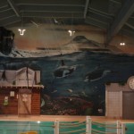 Gold River Aquatic Centre