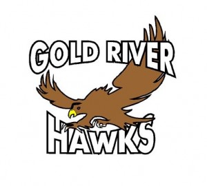 GR Hawks logo