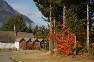 Nimpkish_fall2
