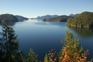 On the way to Cougar Creek On the way to Cougar Creek