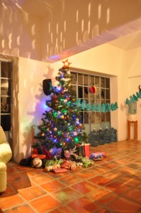 xmastree_mexico